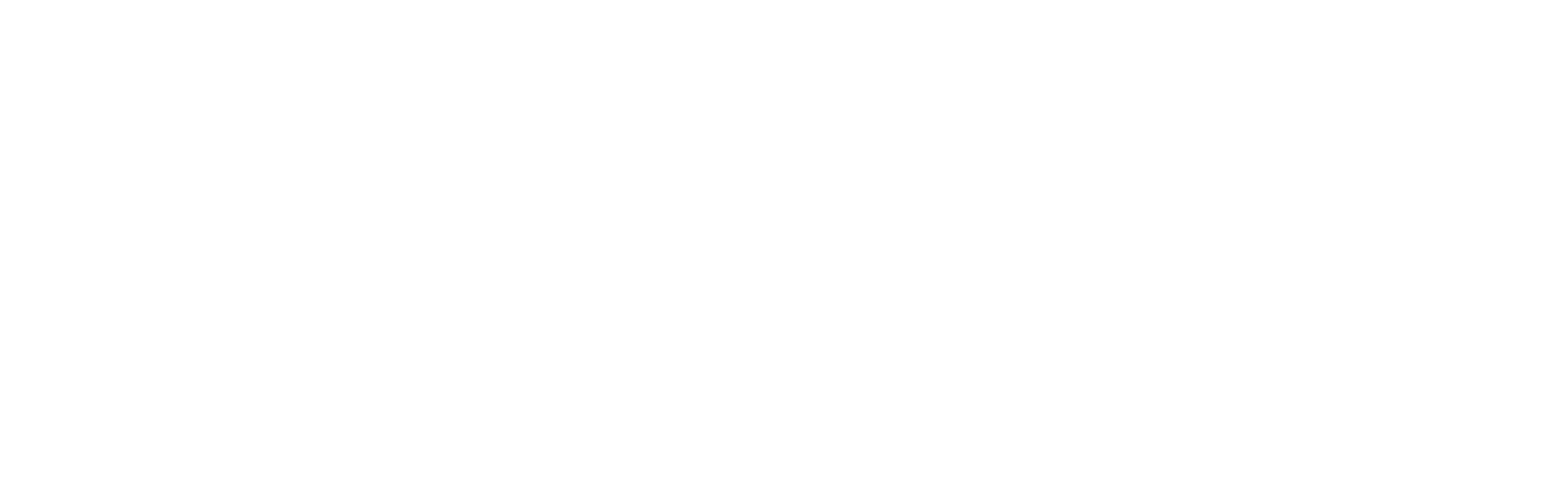 In-Nova Logo
